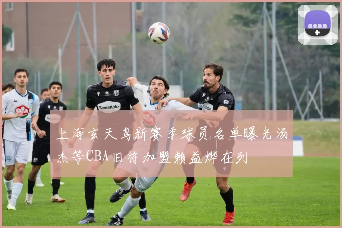 上海玄天鸟新赛季球员名单曝光汤杰等CBA旧将加盟赖益烨在列
