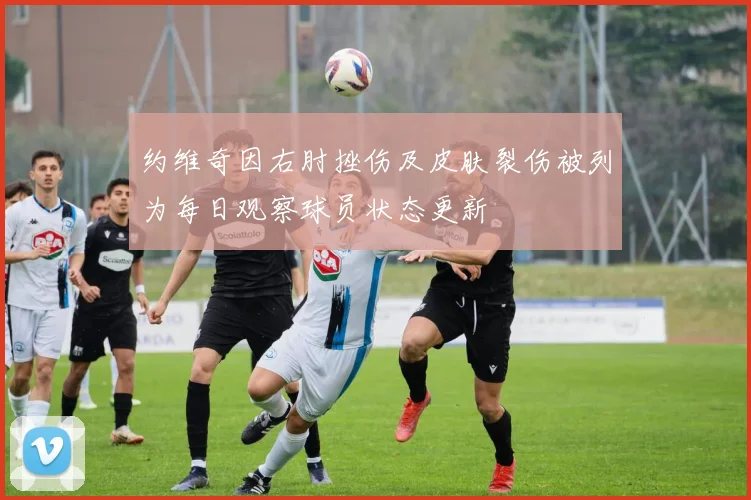 约维奇因右肘挫伤及皮肤裂伤被列为每日观察球员状态更新