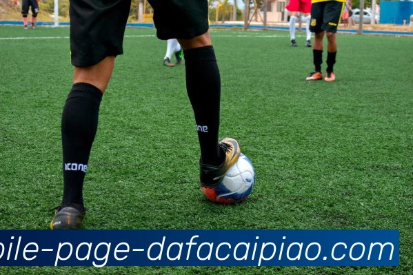 大发彩票APP 封面图